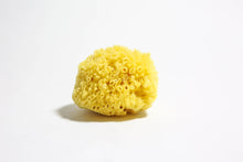 Load image into Gallery viewer, Natural Sea Sponge
