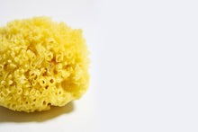 Load image into Gallery viewer, Natural Sea Sponge
